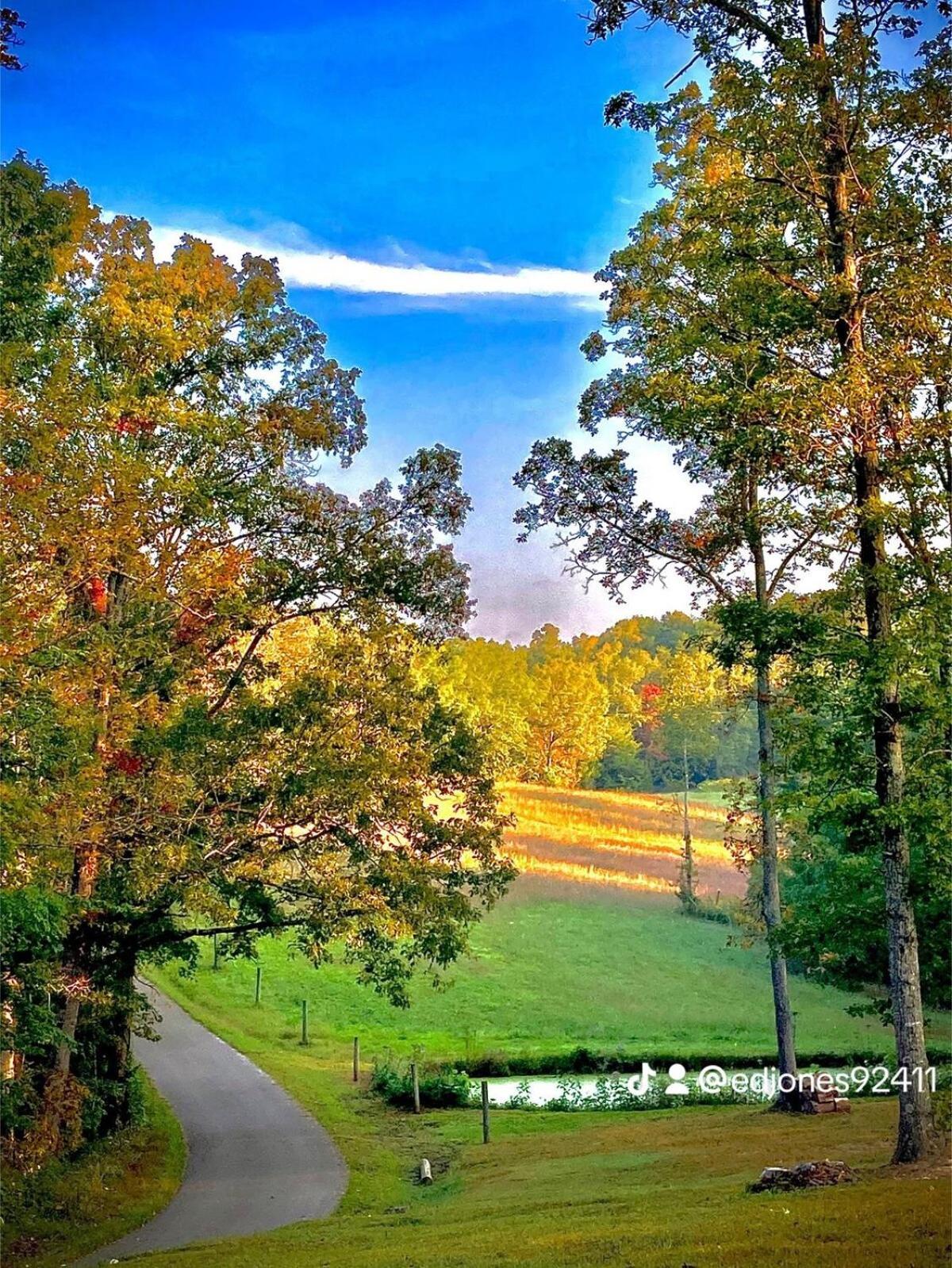 The Willow, Secluded And Cozy Country Cabin Ravenna Dış mekan fotoğraf